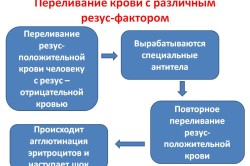 Переливание крови с различным резус-фактором