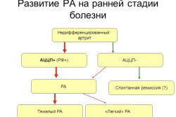 Развитие РА на ранней стадии болезни Развитие РА на ранней стадии болезни