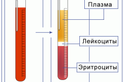 Компоненты крови