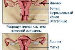 Изменения при менопаузе
