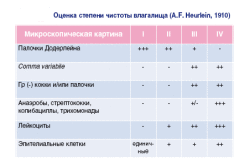 Степень чистоты влагалища