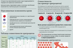 Совместимость при переливании крови