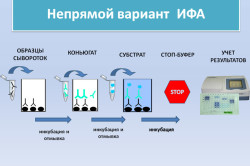 ИФА анализ крови