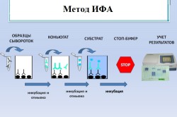 Метод ИФА