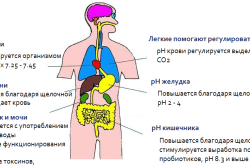 Влияние щелочи на организм человека