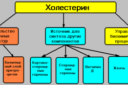 Схема потребности холестерина в организме
