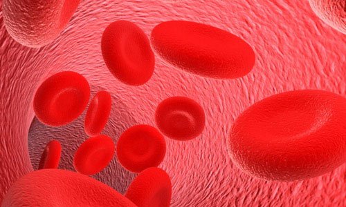 Почему эритроциты в крови понижены и как увеличить их количество?
