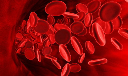 Нарушение норм белка в крови