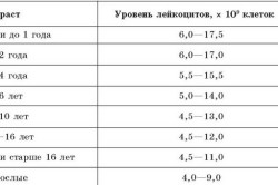 Нормальные значения лейкоцитов в крови