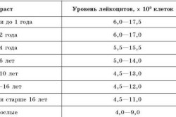 Норма лейкоцитов в крови 
